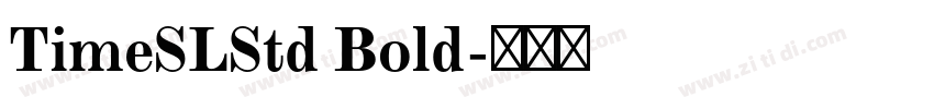 TimeSLStd Bold字体转换
